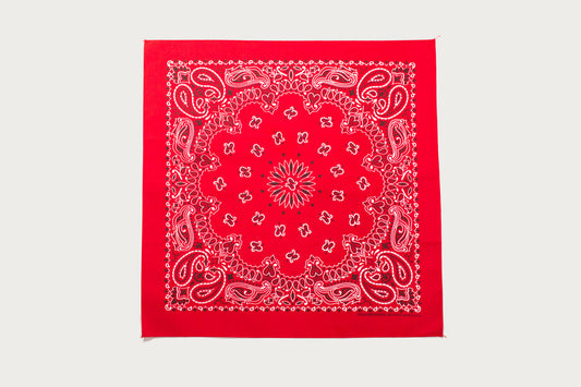 Hav-A-Hank Paisley Bandana - Red