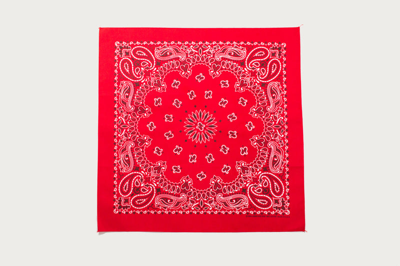 Hav-A-Hank Paisley Bandana - Red